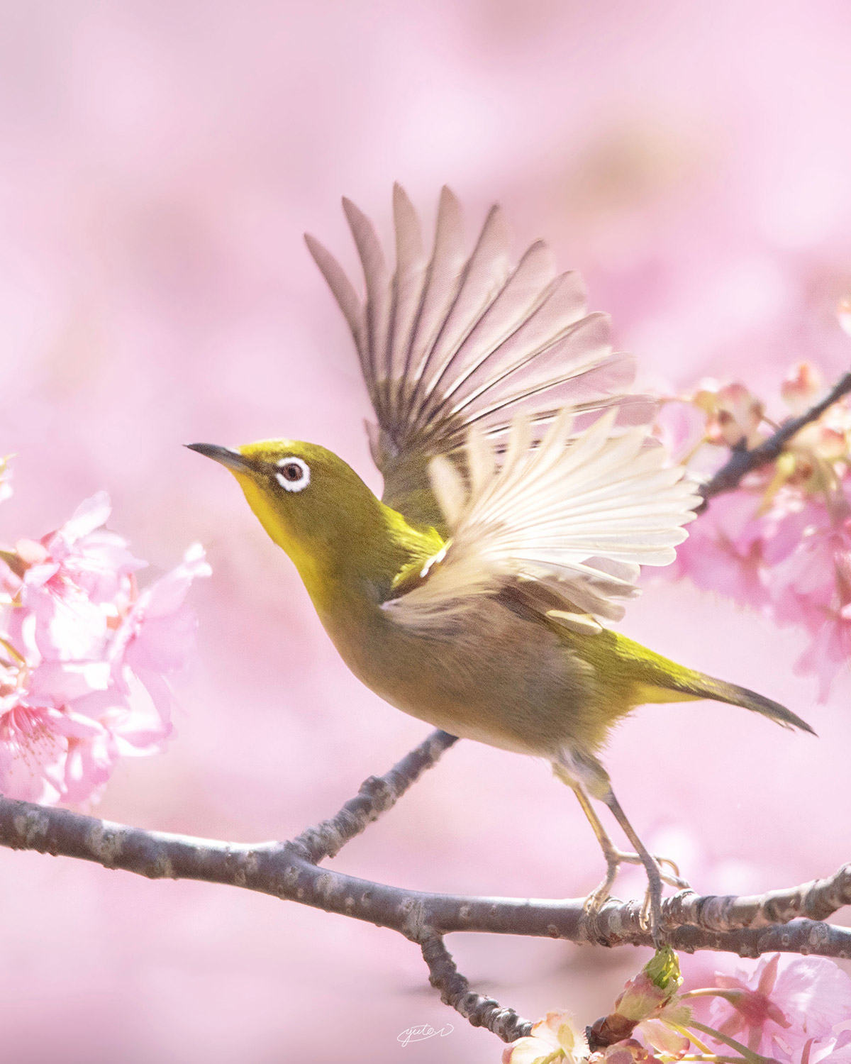 河村瑞賢公園