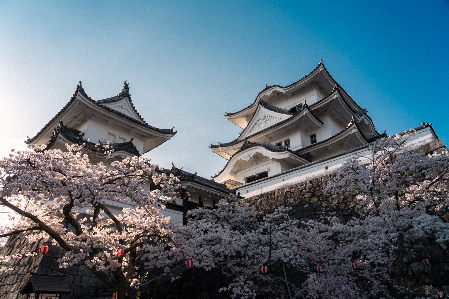 伊賀上野城