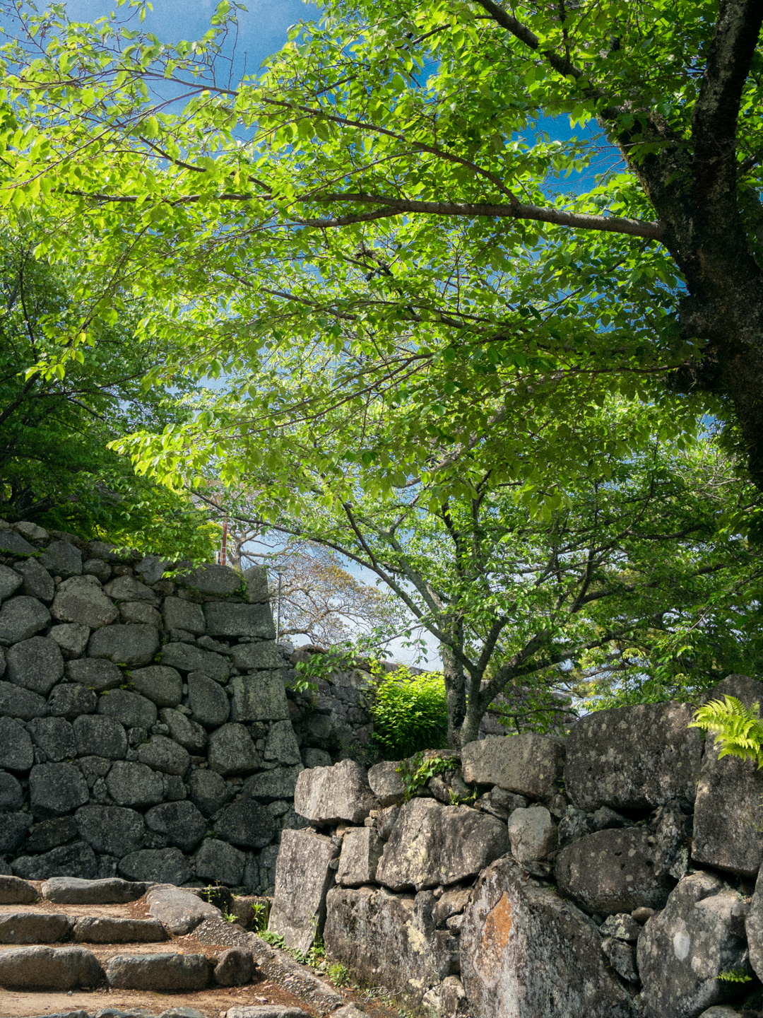 松坂城