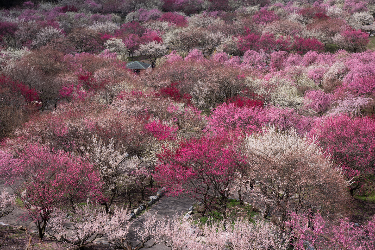 いなべ市農業公園